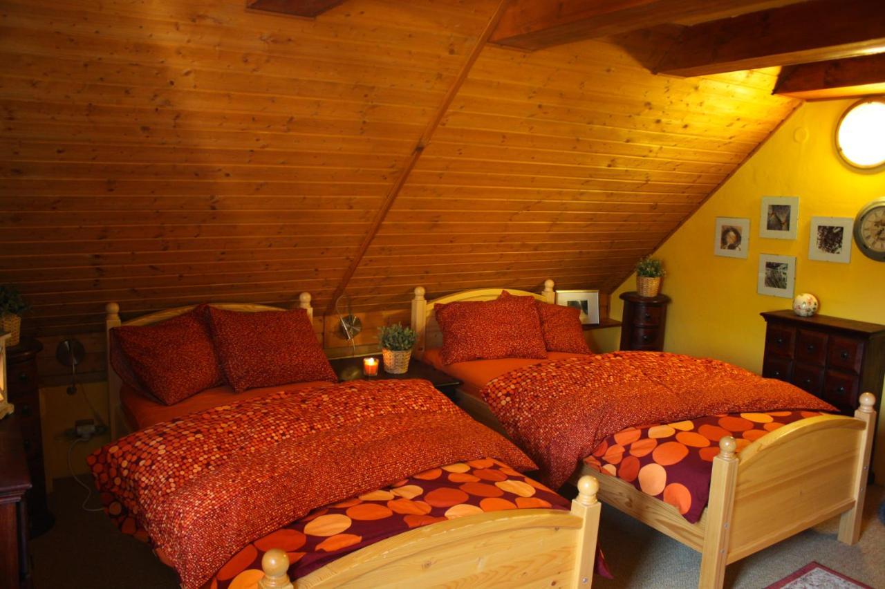 Apartmany U Kaplicky Kamyk nad Vltavou Exterior photo