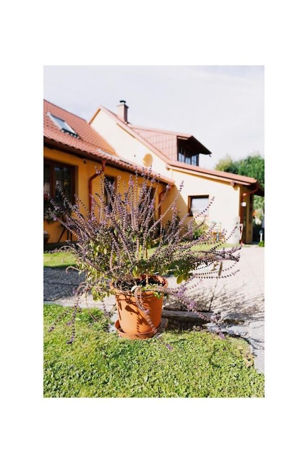 Apartmany U Kaplicky Kamyk nad Vltavou Exterior photo